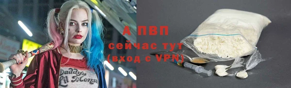 сатива Аркадак
