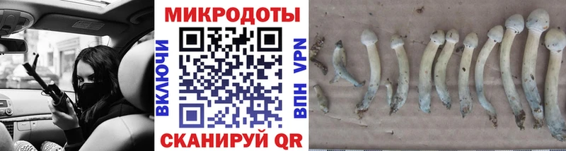 Галлюциногенные грибы мицелий Большой Камень